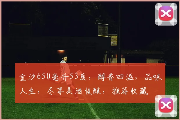 金沙650毫升53度，醇香四溢，品味人生，尽享美酒佳酿，推荐收藏