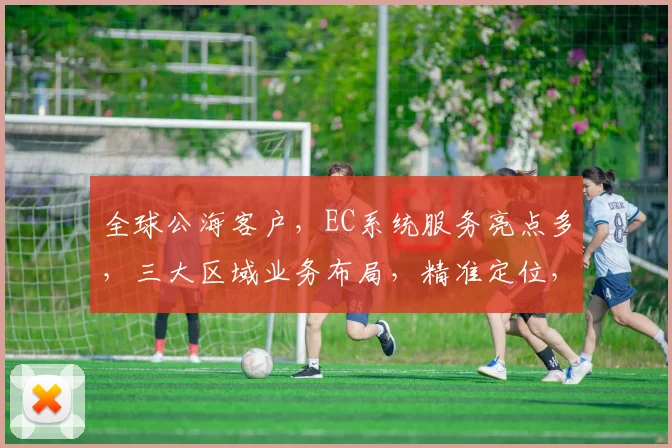 全球公海客户，EC系统服务亮点多，三大区域业务布局，精准定位，高效合作